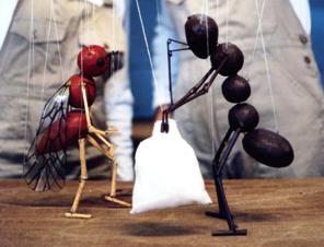 THE CICADA AND THE ANT